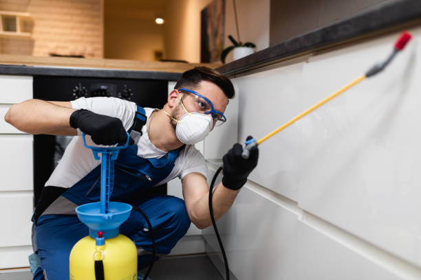 Best Pest Prevention Services  in Parsons, TN