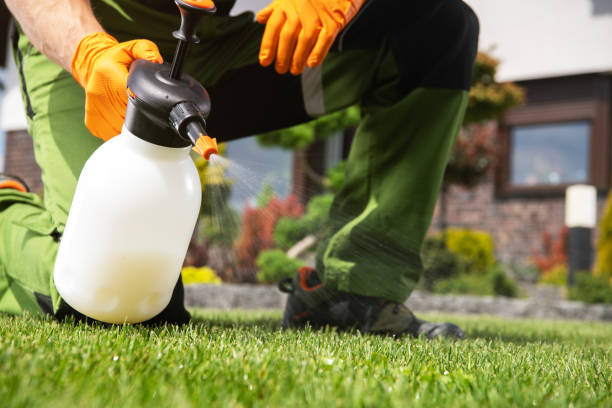 Best Emergency Pest Control  in Parsons, TN