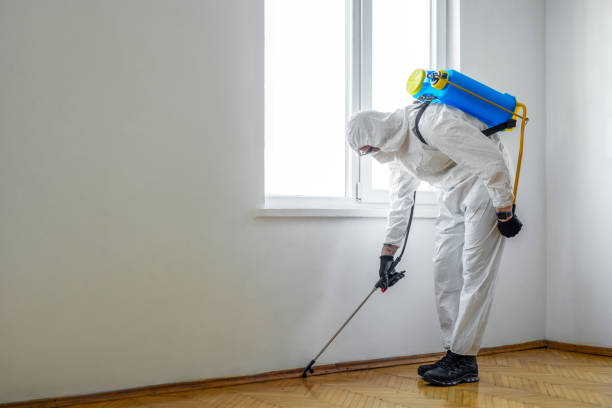 Best Affordable Pest Control Services  in Parsons, TN
