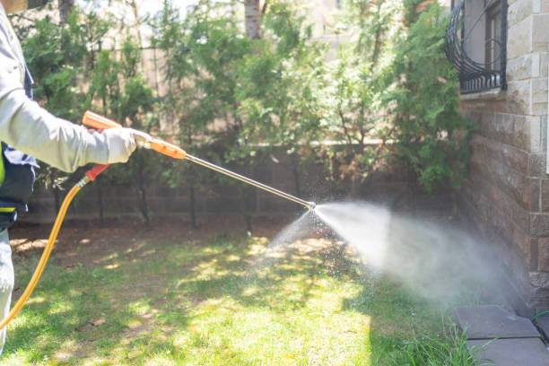 Professional Pest Control in Parsons, TN
