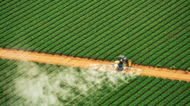Insect Control in Parsons, TN