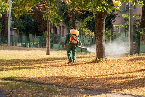 Best Wildlife Control Services  in Parsons, TN
