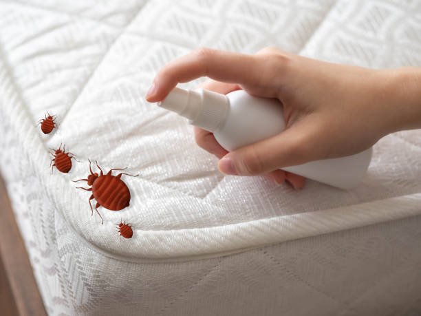Best Pest Control Near Me in Parsons, TN