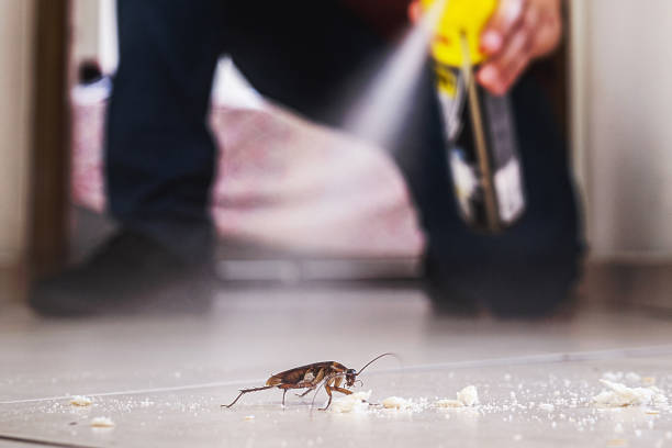 Best Affordable Exterminators  in Parsons, TN