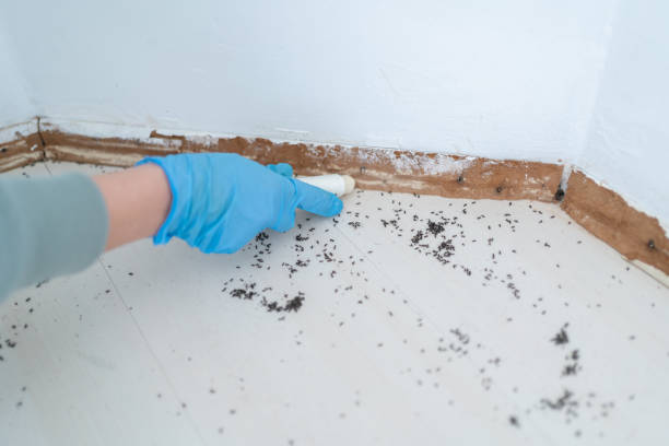 Best Best Pest Control Companies  in Parsons, TN