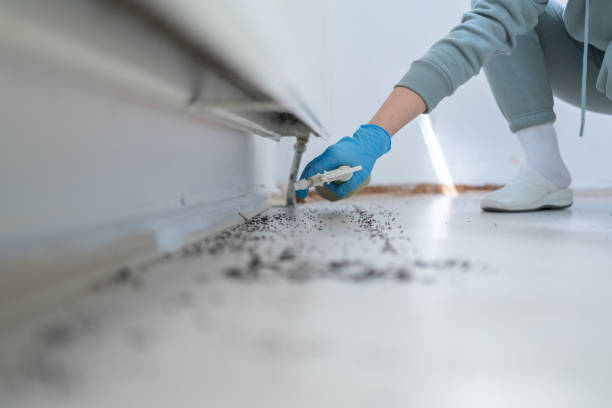 Best Mosquito Control Services  in Parsons, TN