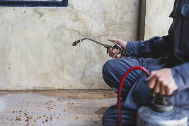 Best Emergency Pest Control  in Parsons, TN